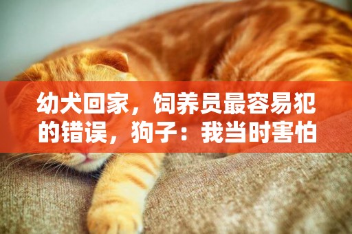 幼犬回家，飼養員最容易犯的錯誤，狗子：我當時害怕極了！
