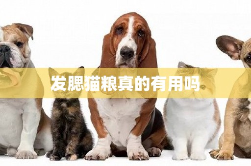 發腮貓糧真的有用嗎