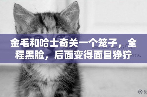 金毛和哈士奇關一個籠子，全程黑臉，后面變得面目猙獰