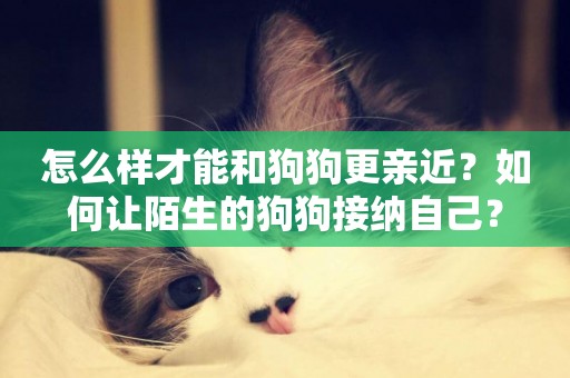 怎么樣才能和狗狗更親近？如何讓陌生的狗狗接納自己？