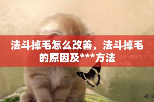 法斗掉毛怎么改善，法斗掉毛的原因及***方法