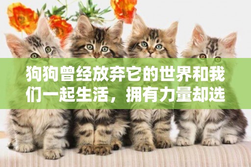 狗狗曾經放棄它的世界和我們一起生活，擁有力量卻選擇保護你！