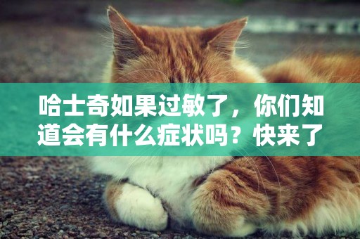 哈士奇如果過敏了，你們知道會有什么癥狀嗎？快來了解一下吧