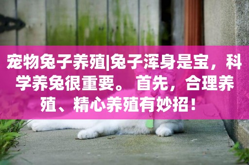 寵物兔子養殖|兔子渾身是寶，科學養兔很重要。 首先，合理養殖、精心養殖有妙招！ 
