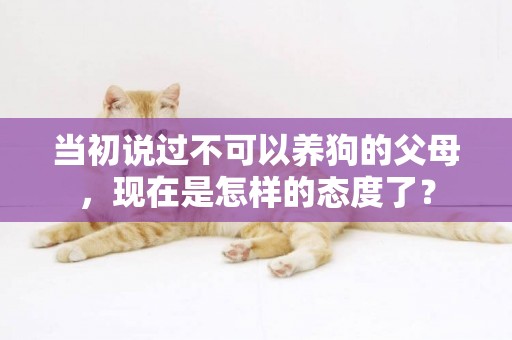 當初說過不可以養狗的父母，現在是怎樣的態度了？