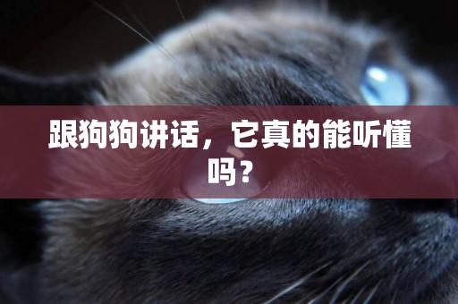 跟狗狗講話，它真的能聽懂嗎？