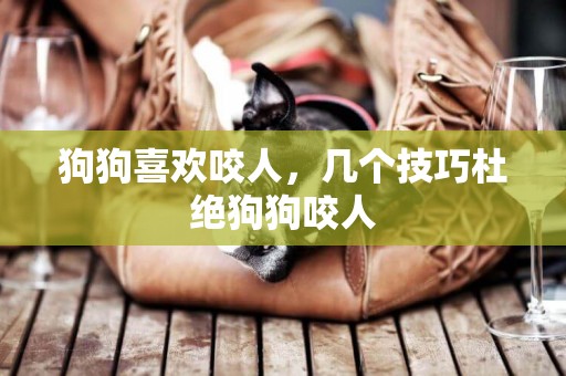 狗狗喜歡咬人，幾個技巧杜絕狗狗咬人