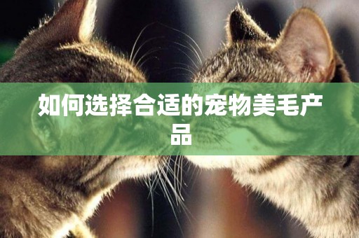 如何選擇合適的寵物美毛產品