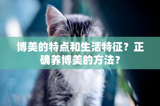 博美的特點和生活特征？正確養博美的方法？
