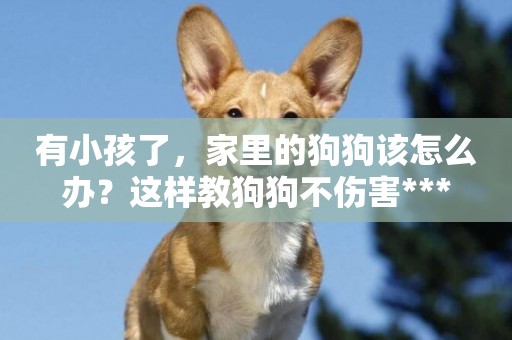 有小孩了，家里的狗狗該怎么辦？這樣教狗狗不傷害***