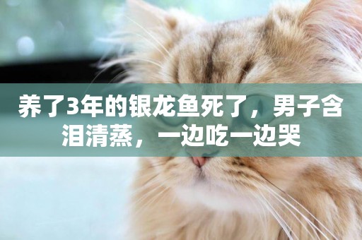 養了3年的銀龍魚死了，男子含淚清蒸，一邊吃一邊哭