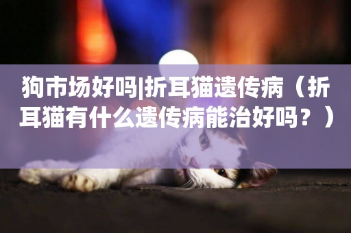 狗市場好嗎|折耳貓遺傳病（折耳貓有什么遺傳病能治好嗎？） 