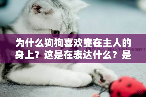 為什么狗狗喜歡靠在主人的身上？這是在表達什么？是對主人示愛？