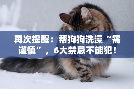 再次提醒：幫狗狗洗澡“需謹慎”，6大禁忌不能犯！