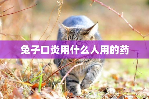 兔子口炎用什么人用的藥
