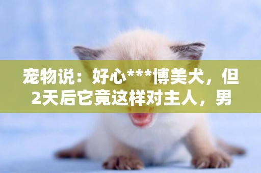 寵物說：好心***博美犬，但2天后它竟這樣對主人，男主十分苦惱