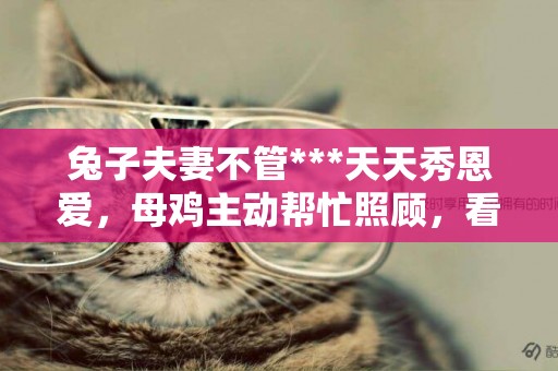 兔子夫妻不管***天天秀恩愛，母雞主動幫忙照顧，看來***是意外