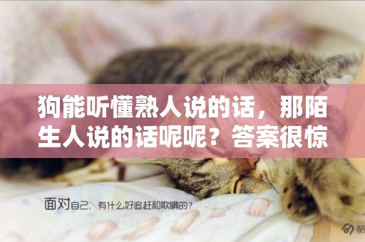 狗能聽懂熟人說的話，那陌生人說的話呢呢？答案很驚艷！