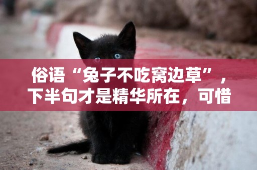 俗語“兔子不吃窩邊草”，下半句才是精華所在，可惜很少有人知道