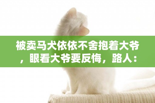 被賣馬犬依依不舍抱著大爺，眼看大爺要反悔，路人：賣了換小狗喂