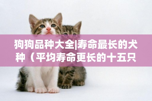 狗狗品種大全|壽命最長的犬種（平均壽命更長的十五只狗） 