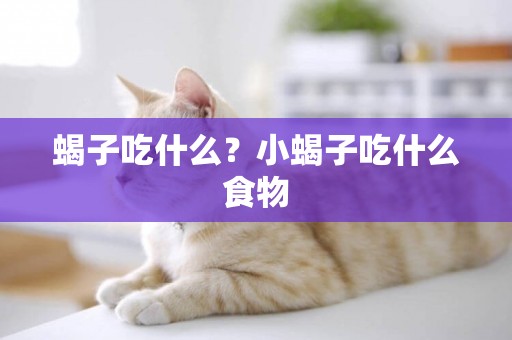蝎子吃什么？小蝎子吃什么食物