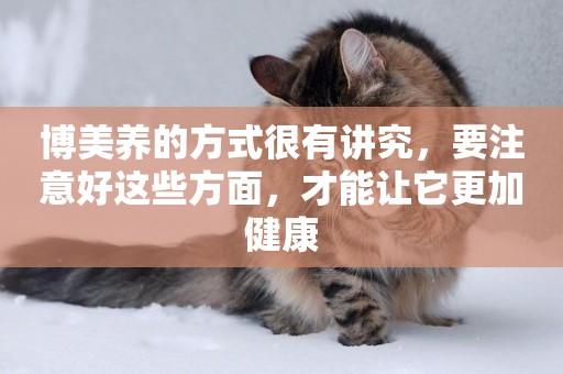 博美養的方式很有講究，要注意好這些方面，才能讓它更加健康
