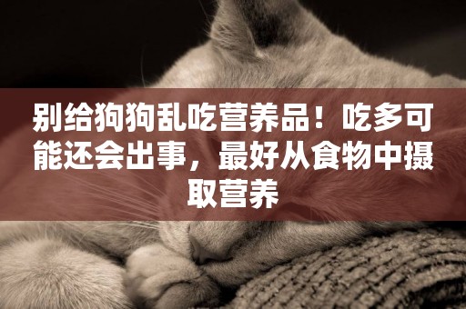 別給狗狗亂吃營養品！吃多可能還會出事，最好從食物中攝取營養
