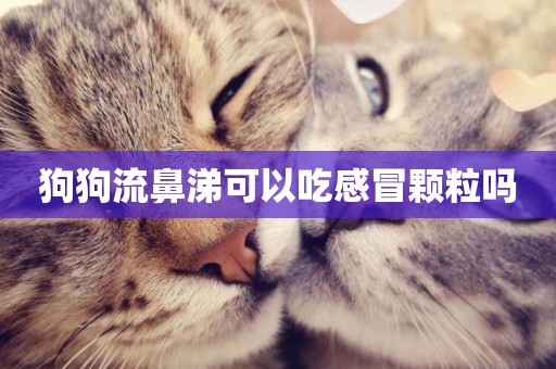 狗狗流鼻涕可以吃感冒顆粒嗎