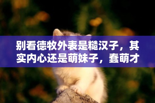 別看德牧外表是糙漢子，其實內心還是萌妹子，蠢萌才是它的真面目
