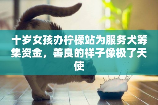 十歲女孩辦檸檬站為服務犬籌集資金，善良的樣子像極了天使