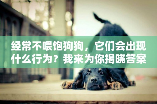 經常不喂飽狗狗，它們會出現什么行為？我來為你揭曉答案