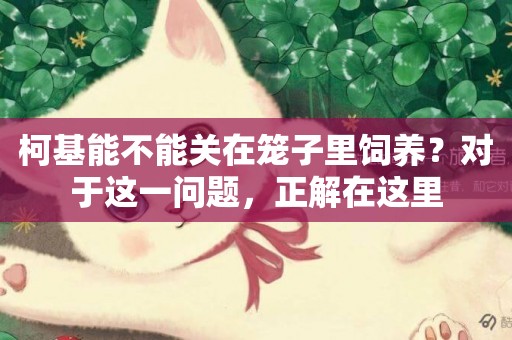 柯基能不能關在籠子里飼養？對于這一問題，正解在這里