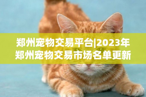鄭州寵物交易平臺|2023年鄭州寵物交易市場名單更新，附詳細地址 