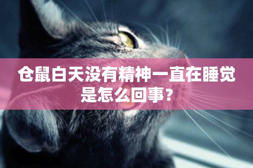 倉鼠白天沒有精神一直在睡覺是怎么回事？