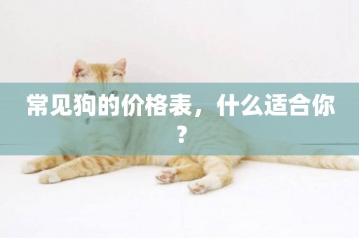 常見狗的價格表，什么適合你？