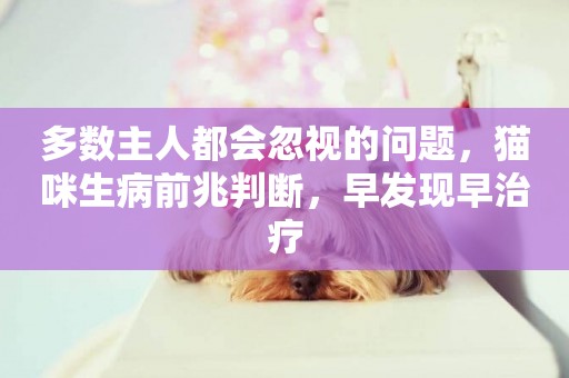 多數主人都會忽視的問題，貓咪生病前兆判斷，早發現早治療