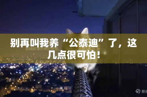 別再叫我養“公泰迪”了，這幾點很可怕！