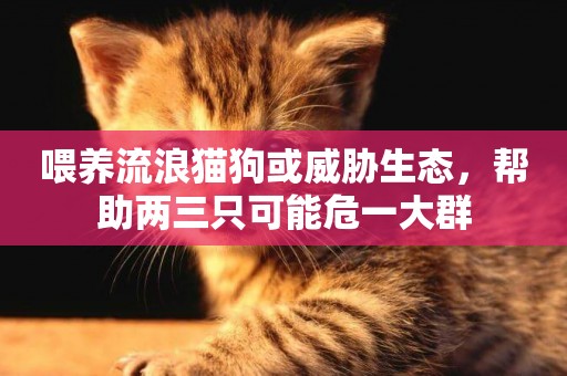 喂養流浪貓狗或威脅生態，幫助兩三只可能危一大群