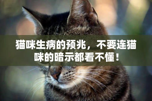 貓咪生病的預兆，不要連貓咪的暗示都看不懂！