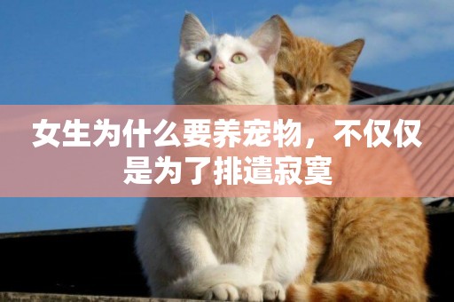 女生為什么要養寵物，不僅僅是為了排遣寂寞