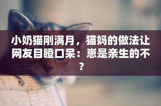 小奶貓剛滿月，貓媽的做法讓網友目瞪口呆：崽是親生的不？