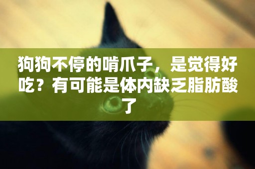 狗狗不停的啃爪子，是覺得好吃？有可能是體內缺乏脂肪酸了