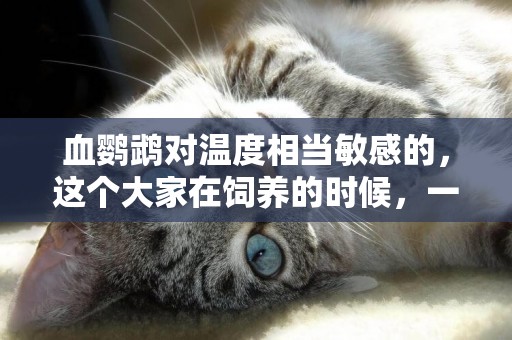 血鸚鵡對溫度相當敏感的，這個大家在飼養的時候，一定要注意哦！