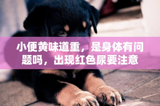 小便黃味道重，是身體有問題嗎，出現紅色尿要注意