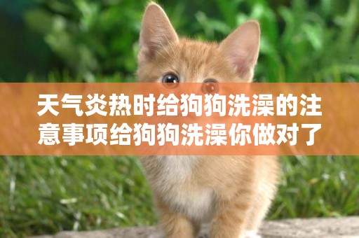 天氣炎熱時給狗狗洗澡的注意事項給狗狗洗澡你做對了嘛？