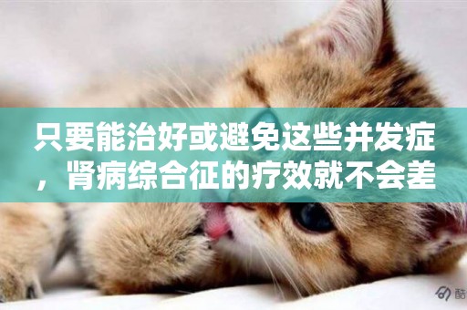 只要能治好或避免這些并發癥，腎病綜合征的療效就不會差