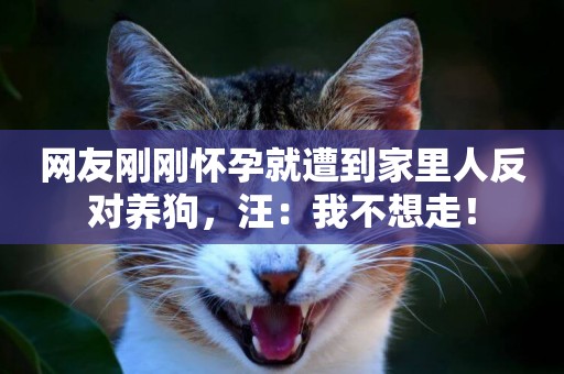 網友剛剛懷孕就遭到家里人反對養狗，汪：我不想走！