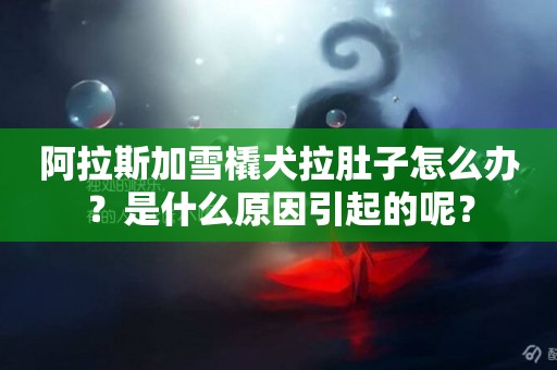 阿拉斯加雪橇犬拉肚子怎么辦？是什么原因引起的呢？
