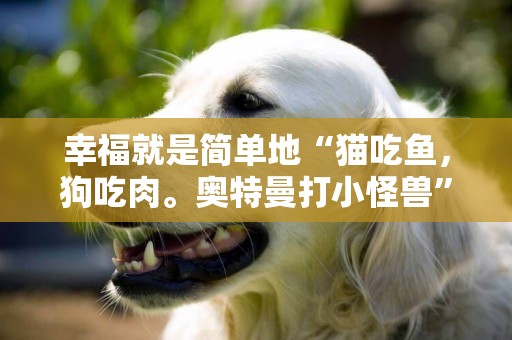 幸福就是簡單地“貓吃魚，狗吃肉。奧特曼打小怪獸”？